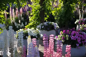 А так украшены дорожки в этой локации &copy;&nbsp;Фото Марины Солошко, Юга.ру