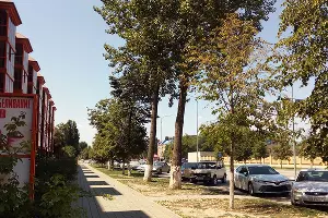 Улицы города Грозного &copy;&nbsp;Фото Евгения Мельченко, Юга.ру