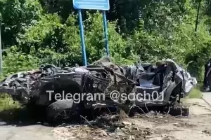  &copy;&nbsp;Скриншот видео из телеграм-канала Сочи №1, t.me/soch01