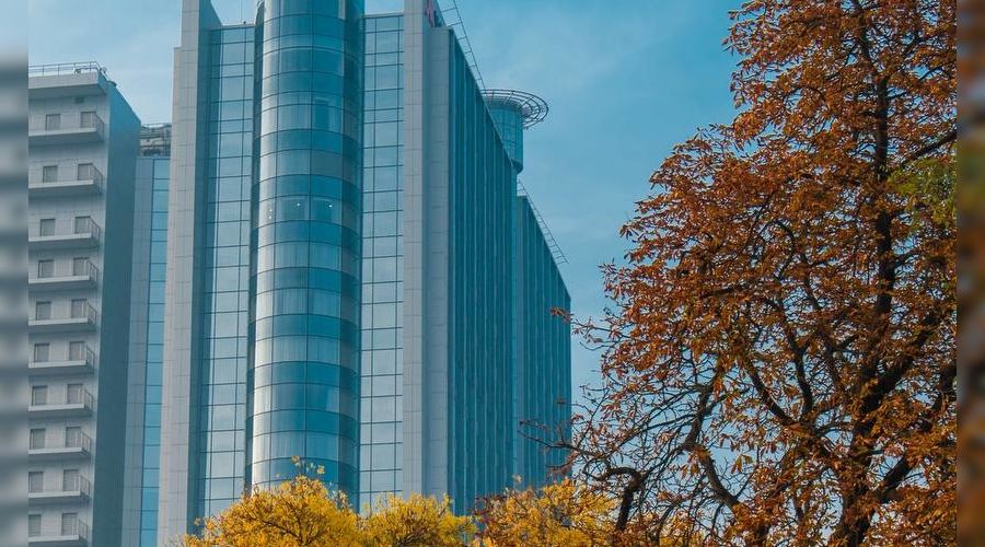  © Фото Никиты Ступникова