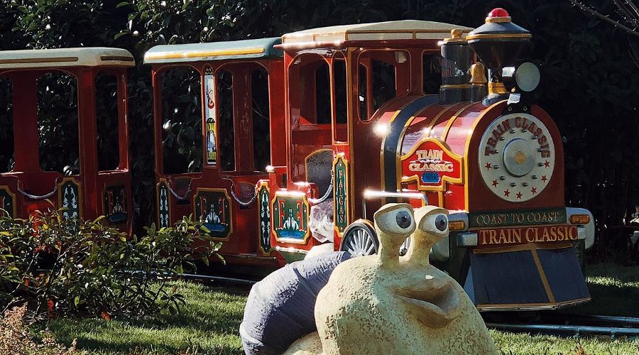  &copy;&nbsp;Фото пресс-службы &laquo;Сочи Парка&raquo;