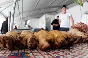  &copy;&nbsp;Михаил Ступин, ЮГА.ру