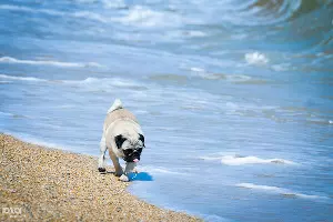  &copy;&nbsp;Фото Елены Синеок, Юга.ру