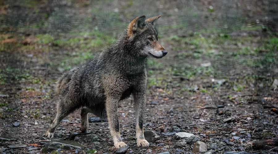  &copy;&nbsp;Фото Нины Зотиной, Юга.ру