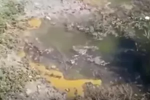  &copy;&nbsp;Скриншот видео из канала &laquo;Наша Газета Новороссийск&raquo;, www.youtube.com/channel/UCglmJNvwzS1PIWKgki6qjYA