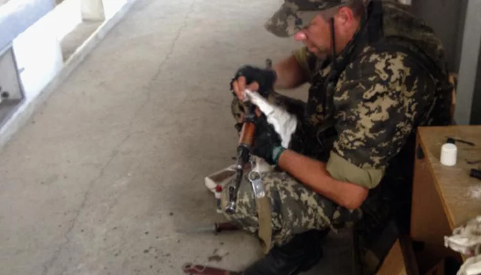  &copy;&nbsp;Сергей Бурцев