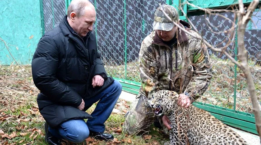 Центр разведения и реабилитации переднеазиатского леопарда &copy;&nbsp;Фото пресс-службы Кремля, kremlin.ru