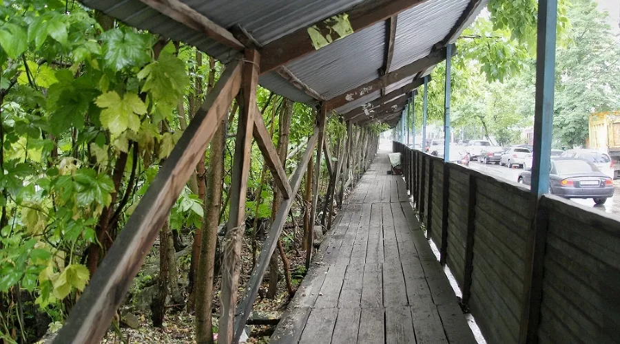  &copy;&nbsp;Фото пресс-службы администрации Краснодара