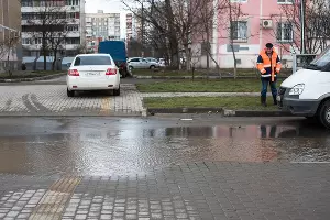 Аллея в честь 80-летия образования Краснодарского края &copy;&nbsp;Фото Елены Синеок, Юга.ру