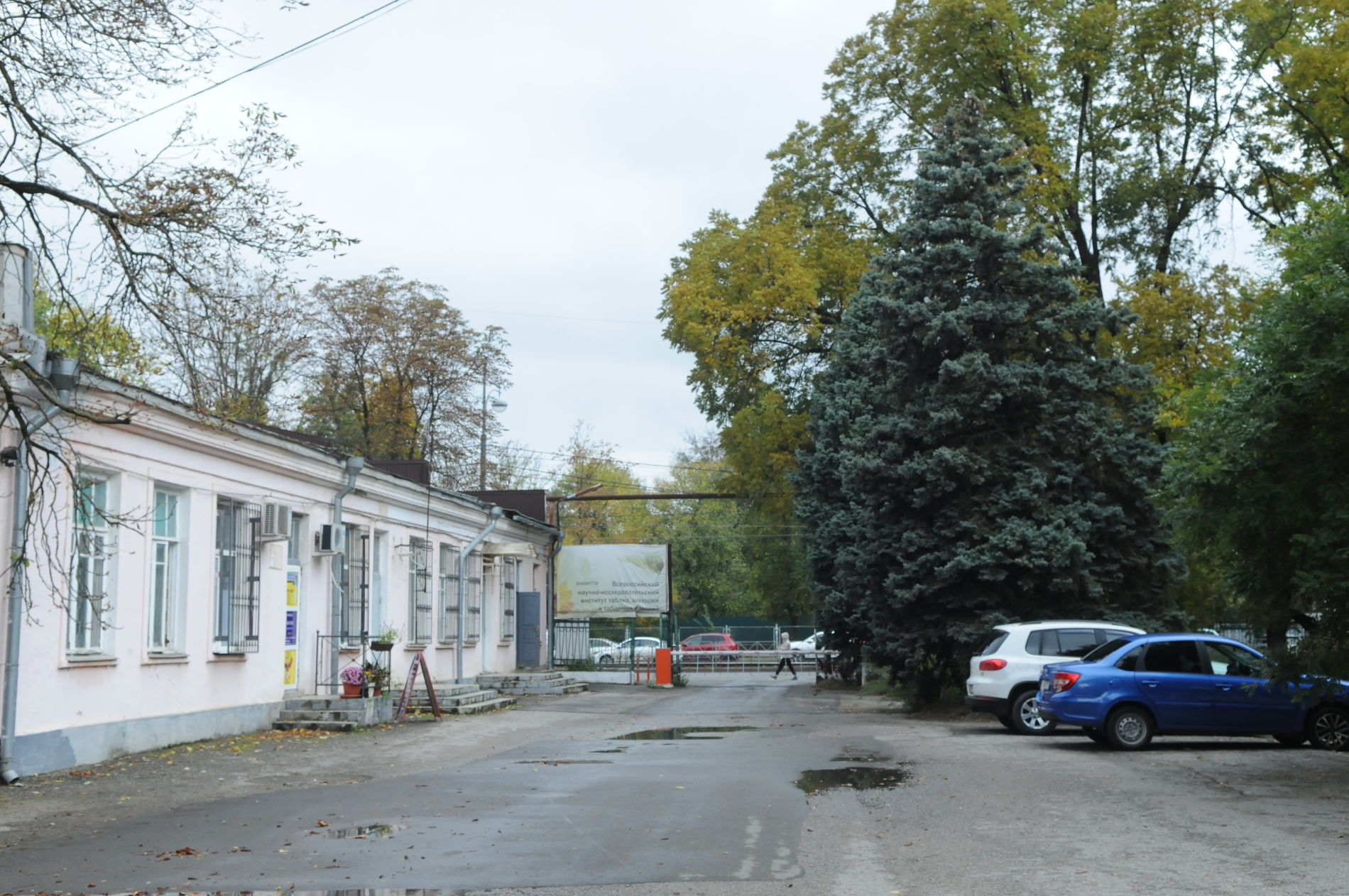 Вид на ворота изнутри. Слева — аварийное здание клуба © Фото Яры Гуляевой, Юга.ру