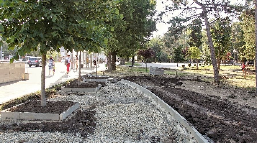  © Фото пресс-службы администрации Краснодара