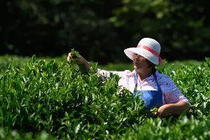  &copy;&nbsp;Фото пресс-службы главы Республики Адыгея