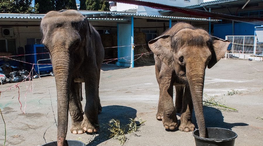  © Фото Сергея Лисицына для Юга.ру