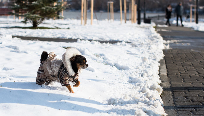 Погода в Краснодаре
