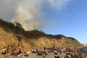 Пожар в заповеднике «Утриш» &copy;&nbsp;Фото Марии Сотсковой