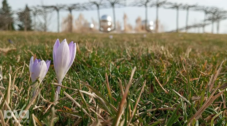  &copy;&nbsp;фото Андрея Малёваного