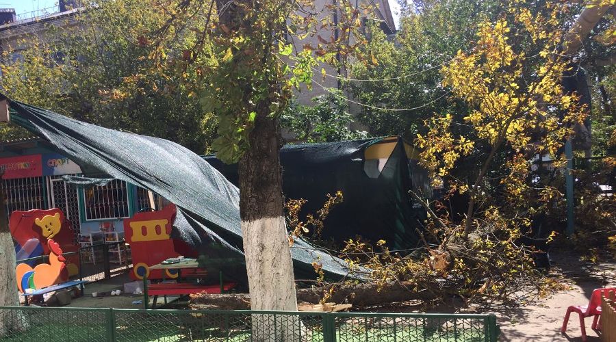  © Фото пресс-службы СУ СК РФ по Краснодарскому краю