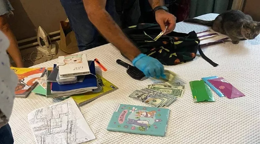 Обыск в квартире Натальи Брусововой &copy;&nbsp;Фото из телеграм-канала &laquo;Avtozak live&raquo;, t.me/avtozaklive