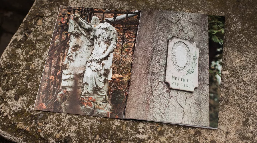  &copy;&nbsp;Фотограф Станислава Войцеховская