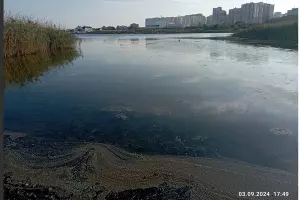  &copy;&nbsp;Скриншот из соцсетей Екатерины Сербиной https://vk.com/eserbina