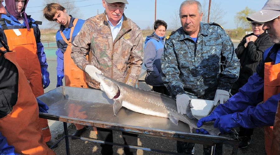  &copy;&nbsp;Фото пресс-службы администрации Краснодарского края