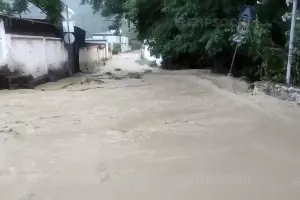  &copy;&nbsp;Скриншот видео из телеграм-канала &laquo;ЧП Сочи&raquo;, t.me/chp_sochi