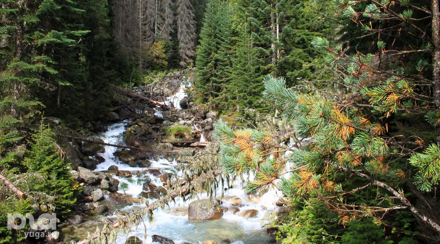  &copy;&nbsp;Фото Марины Солошко, Юга.ру