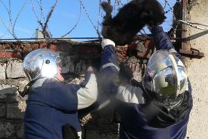  &copy;&nbsp;Фото из инстаграм-аккаунта &laquo;Кубань-СПАС&raquo;, https://www.instagram.com/kubanspas/