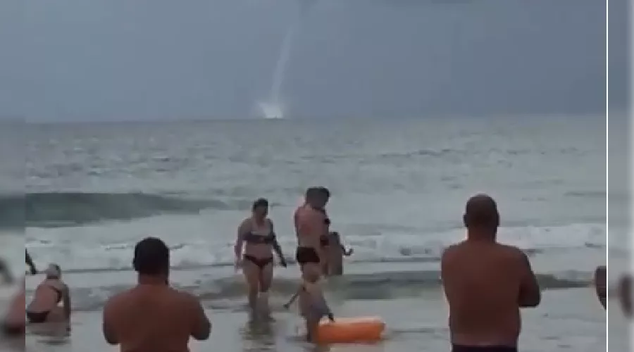  &copy;&nbsp;Скриншот из видео на странице instagram.com/komarikswim