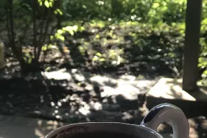  &copy;&nbsp;Фото из личного архива Аси Большовой