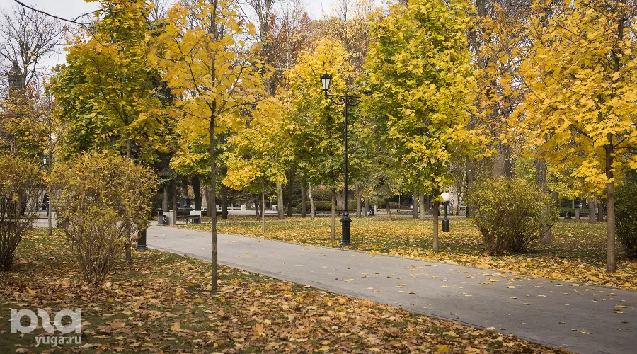  &copy;&nbsp;Фото Елены Синеок, Юга.ру