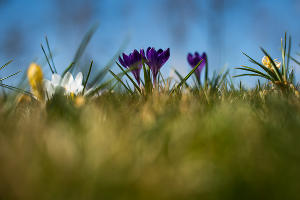 Парк «Краснодар»  &copy;&nbsp;Фото Елены Синеок, Юга.ру