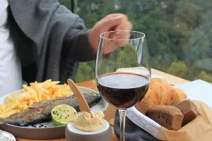 Ресторан Kauri в &laquo;Скайпарке&raquo; &copy;&nbsp;Фото Марины Солошко, Юга.ру