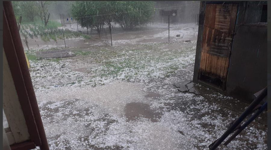  © Скриншот из телеграм-канала Андрея Волненко https://t.me/volnenkoav/3205