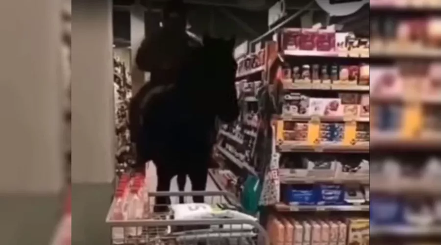  &copy;&nbsp;Скриншот видео из инстаграма &laquo;Краснодар край Кубань&raquo;, instagram.com/krasnodar_kray/