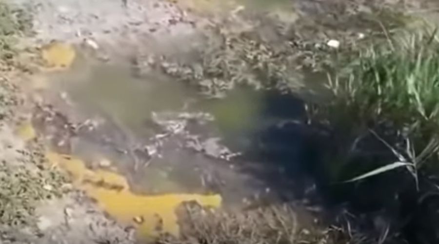  © Скриншот видео из канала «Наша Газета Новороссийск», www.youtube.com/channel/UCglmJNvwzS1PIWKgki6qjYA