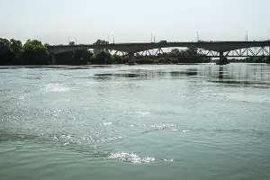  &copy;&nbsp;Фото Елены Синеок, Юга.ру