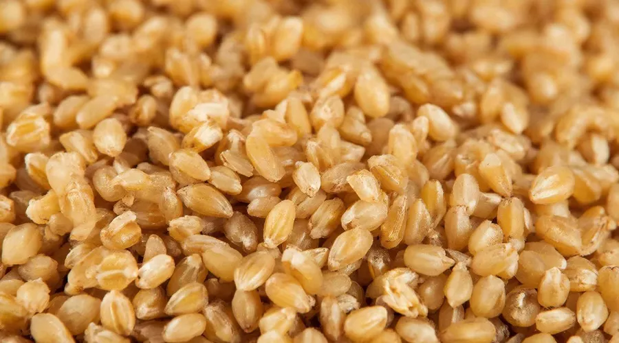 гречка &copy;&nbsp;Изображение сгенерировано с помощью Gigachat