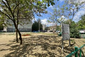  © Фото Валерии Дульской, 93.RU