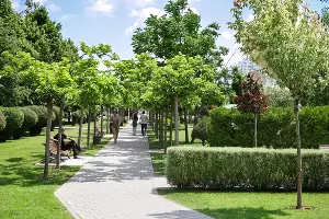  &copy;&nbsp;Фото пресс-службы мэрии Краснодара