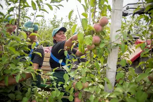  &copy;&nbsp;Фото пресс-службы ООО &laquo;АКСИС&raquo; ГК