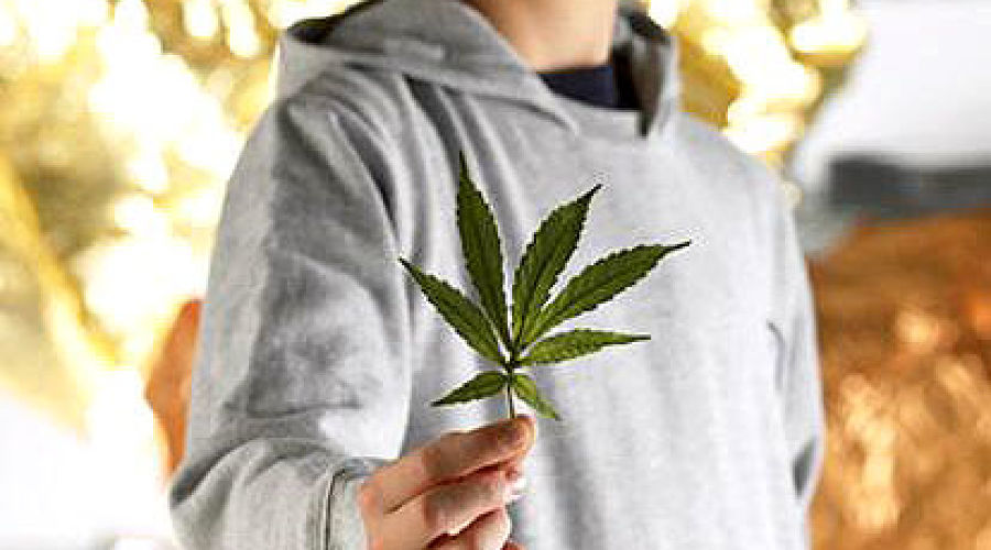 марихуана для подростков