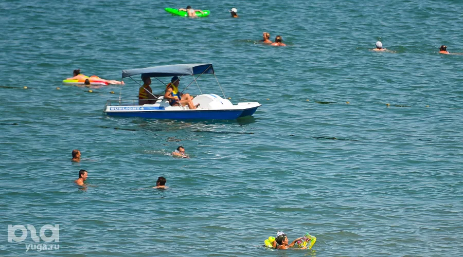  &copy;&nbsp;Фото Елены Синеок, Юга.ру