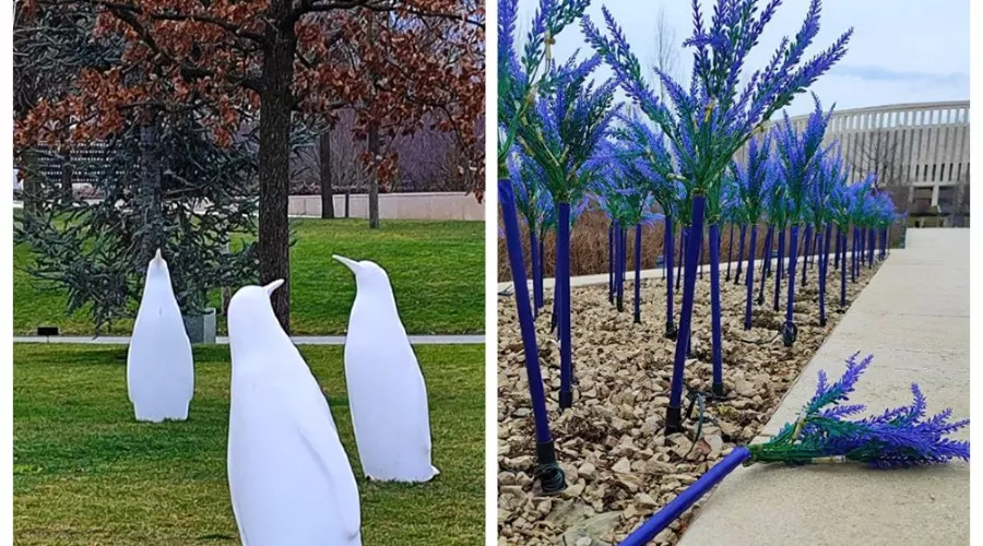  &copy;&nbsp;Скриншот из телеграм-канала &laquo;Парк Галицкого Краснодар&raquo; https://t.me/park_galitskogo/23375