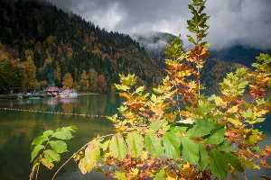  &copy;&nbsp;Елена Синеок, ЮГА.ру