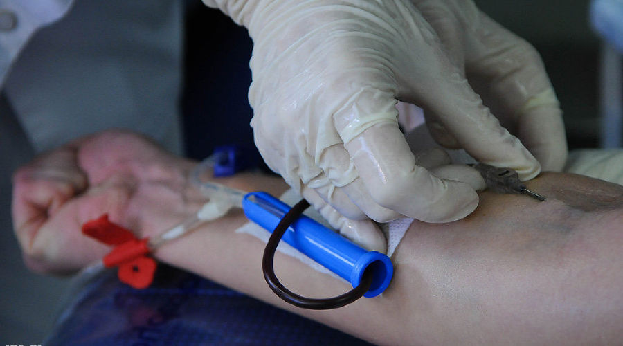  © Фото Елены Синеок, Юга.ру