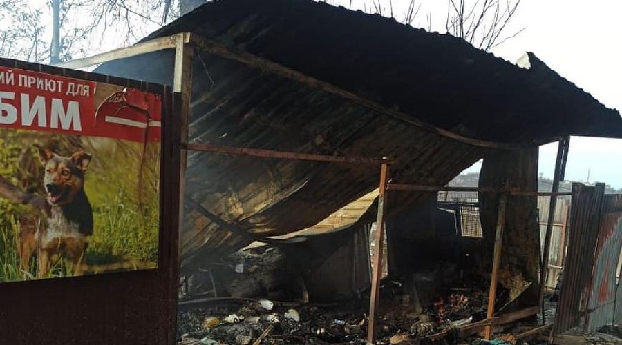  © Фото со страницы instagram.com/bim_sochi