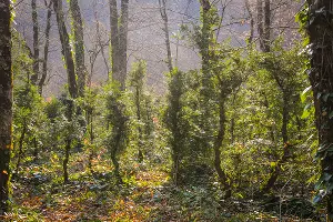  &copy;&nbsp;Фото пресс-службы главы Республики Адыгея
