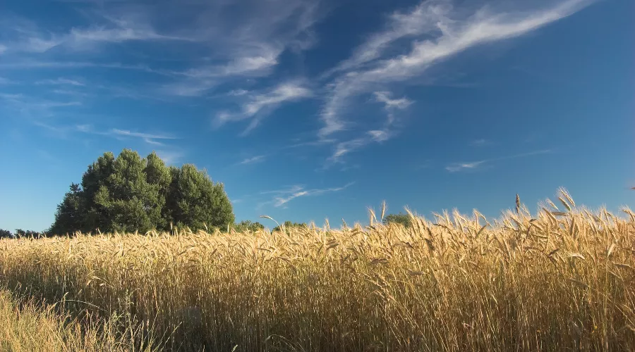  &copy;&nbsp;Фото bedneyimages, сайт freepik.com