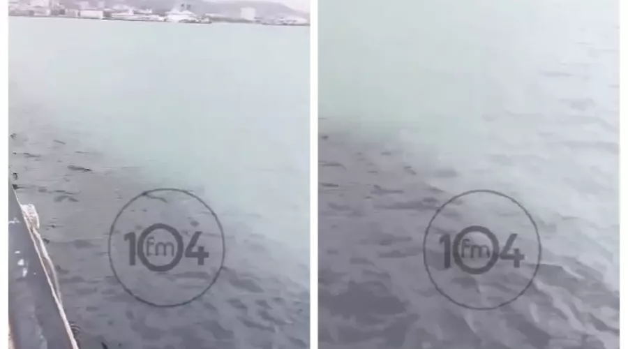  &copy;&nbsp;Скриншот из телеграм-канала &laquo;Радио 104FM&raquo; https://t.me/NR_novosti/39934